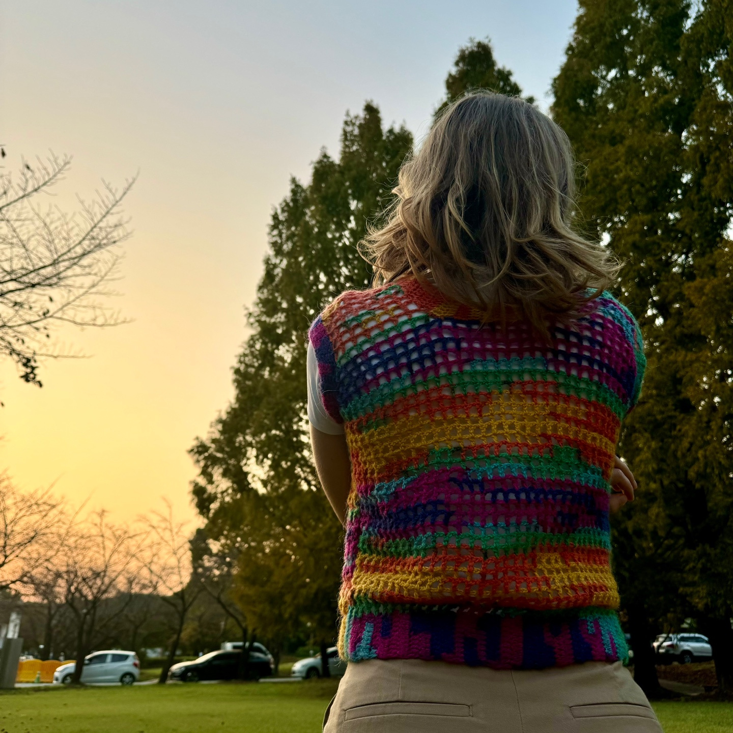 Colorful vest, back