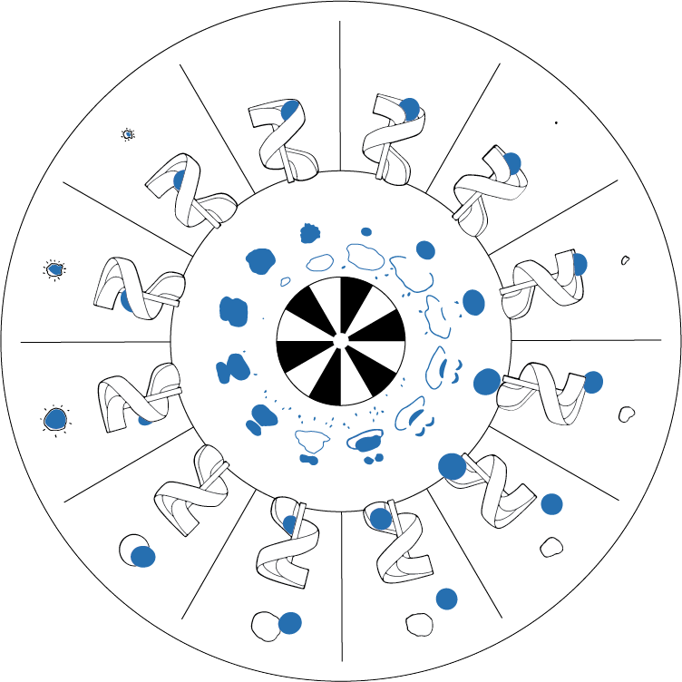 Wheel